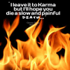 19757-i-leave-it-to-karma-but-ill-hope-you-die-a-slow-and-painful_380x280_width.png