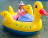 BBI-A-Kids-Yellow-Duck-Bumper-Boat-For-Sale.jpg