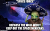 Space Force.png