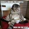 coffee cat.jpg