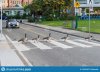 canada-geese-crossing-road-zebra-vancouver-british-columbia-september-car-waiting-126353867.jpg