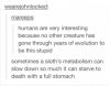 sloth stomach.jpg