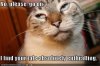 funny-pictures-bored-cat.jpg