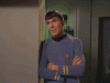 -Mr-Spock-mr-spock-37741601-300-227.gif