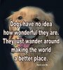 dogs-have-no-idea-wonderful-they-are-they-just-wander-around-making-world-better-place-woof-and.jpeg