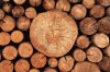 rustic-weathered-wood-logs-royalty-free-image-1654709658.jpg