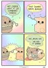 IMG_4856.jpeg