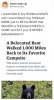 bafkreibcizdbacearco4vmnwn4xm7uetab3pb724ook5nnuf7qx32ygdey.jpg