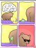 IMG_6453.jpeg