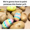IMG_7619.jpeg
