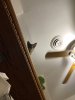 IMG_2197.jpeg