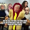 trump dog.jpg