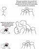 IMG_9135.jpeg