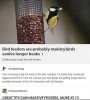 IMG_9257.jpeg