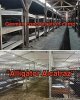 IMG_9872.jpeg