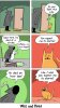 IMG_0015.jpeg
