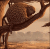 IMG_3699.gif