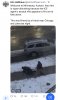 IMG_4429.jpeg