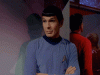 tumblr_aa3744aaac055bee3f4f8e436c6a8e5c_d9a8b8b5_250.gif