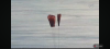 Screenshot_20260410-200512.png