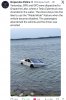 IMG_7241.jpeg