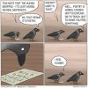 IMG_8373.jpeg