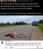 FB_IMG_1783974086656.jpg