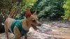IMG_20260716_123352504_HDR~3.jpg