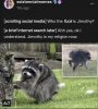 IMG_8505.jpeg