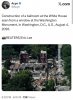 IMG_8719.jpeg