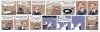 IMG_8781.jpeg