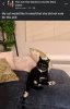 IMG_8836.jpeg