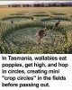 IMG_8920.jpeg