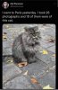 IMG_9274.jpeg