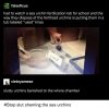 IMG_9278.jpeg