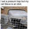 IMG_9331.jpeg