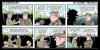 IMG_9418.jpeg