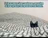 IMG_9444.jpeg