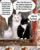 IMG_9445.jpeg