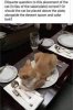 IMG_9447.jpeg