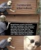 IMG_9495.jpeg