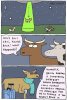 IMG_9602.jpeg