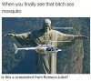 IMG_9873.jpeg