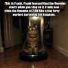 IMG_0138.jpeg