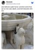 IMG_0178.jpeg