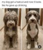IMG_0236.jpeg