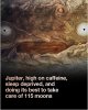IMG_0397.jpeg